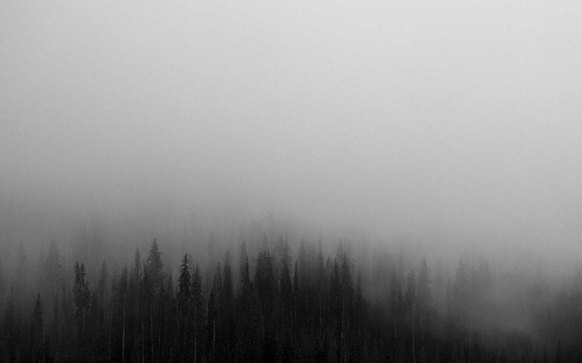Essential Lightroom Presets Vol.188