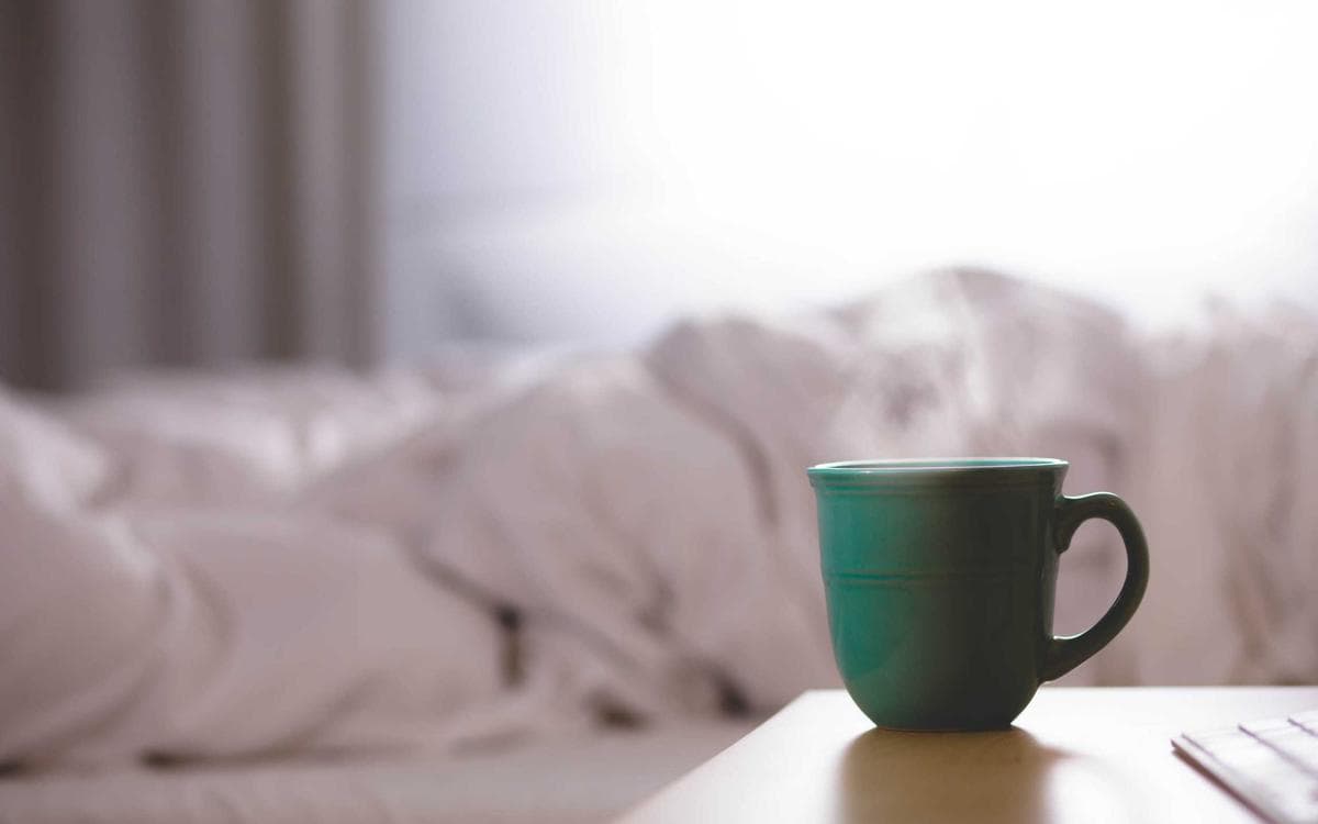 Essential Lightroom Presets Vol.236