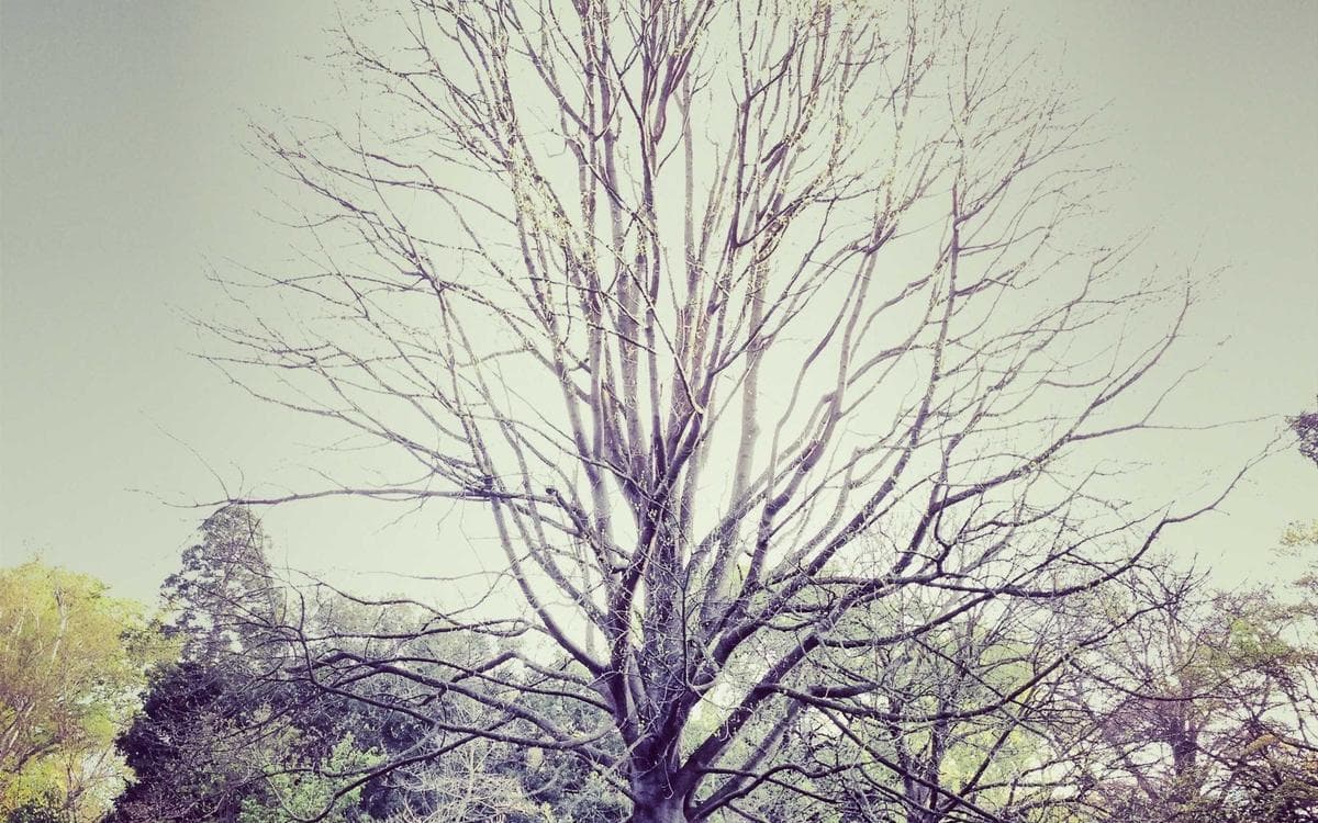 Retro Filter Set Vol.378