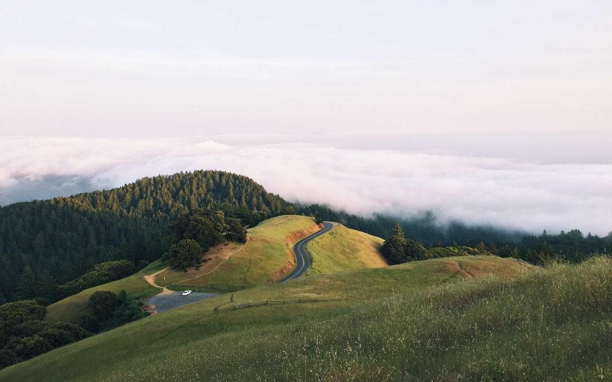 Elegant Social Media Kit Vol.357