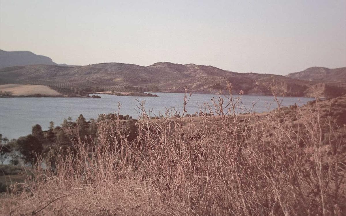 Ultimate Icon Collection Vol.301