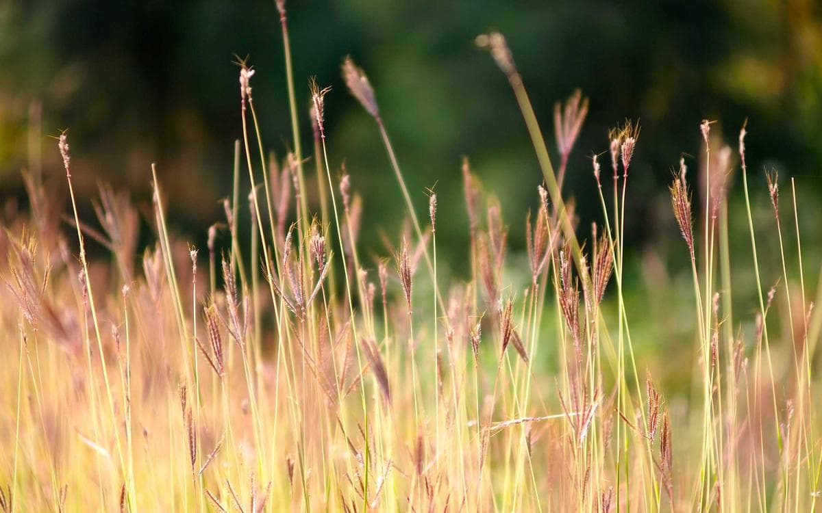 Playful Texture Pack Vol.326