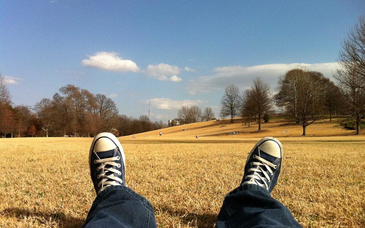 Essential Workspace Shots Vol.28