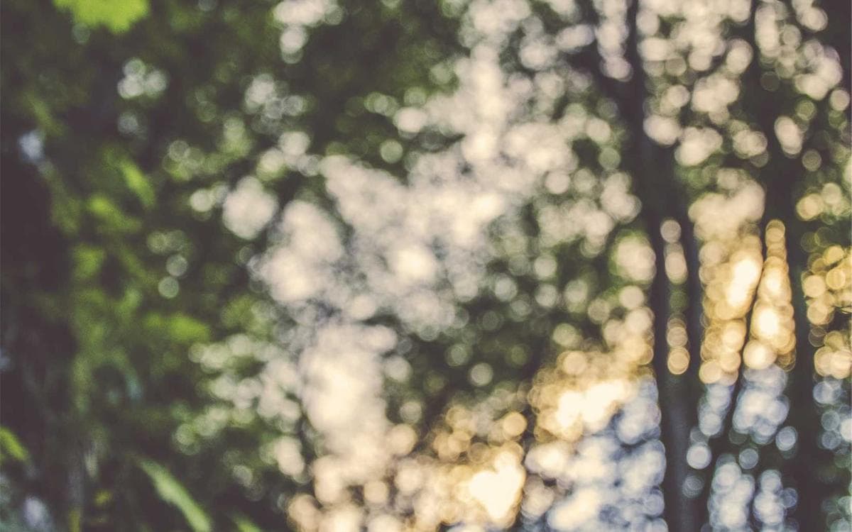 Creative Nature Gallery Vol.287
