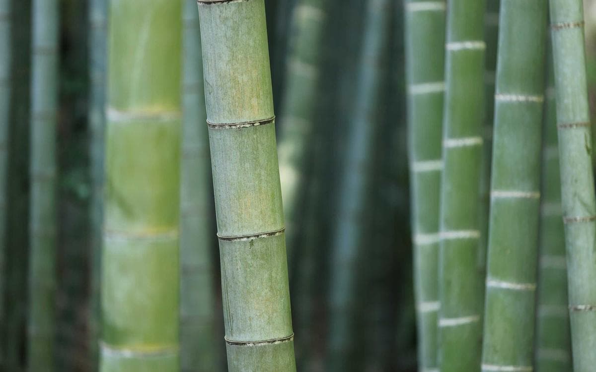 Creative Startup Deck Vol.159