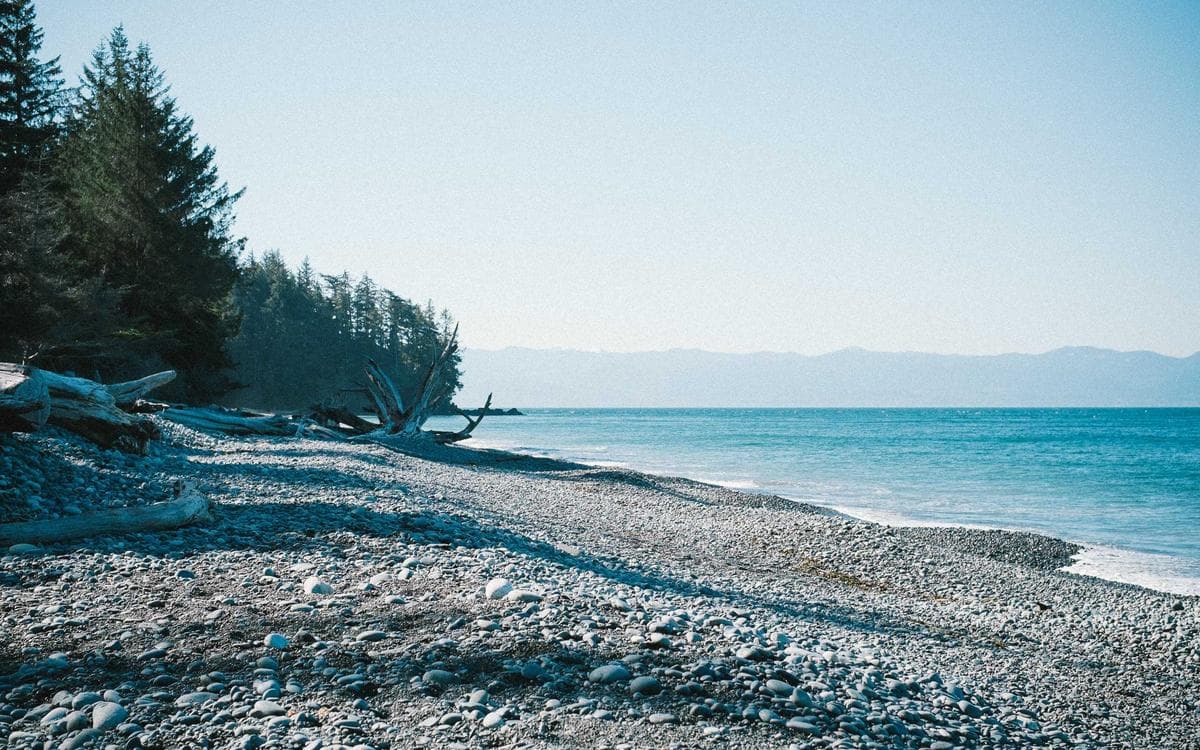 Essential SaaS Template Vol.220