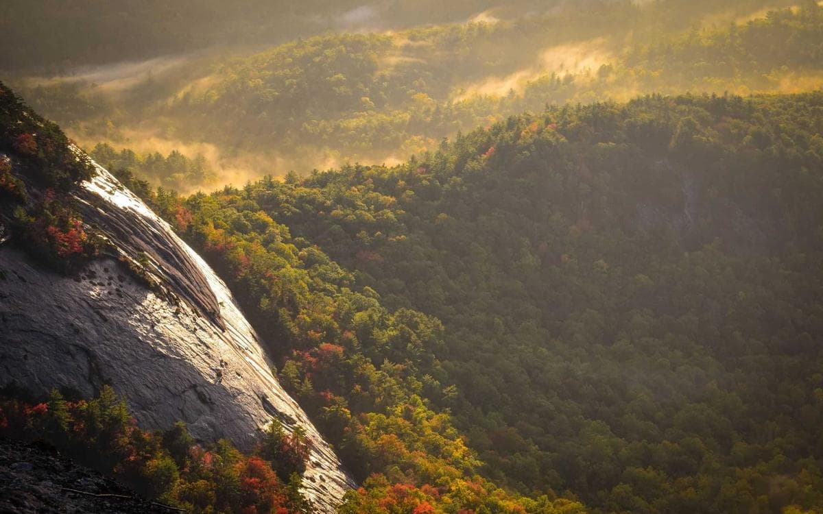 Bright Dashboard UI Vol.440