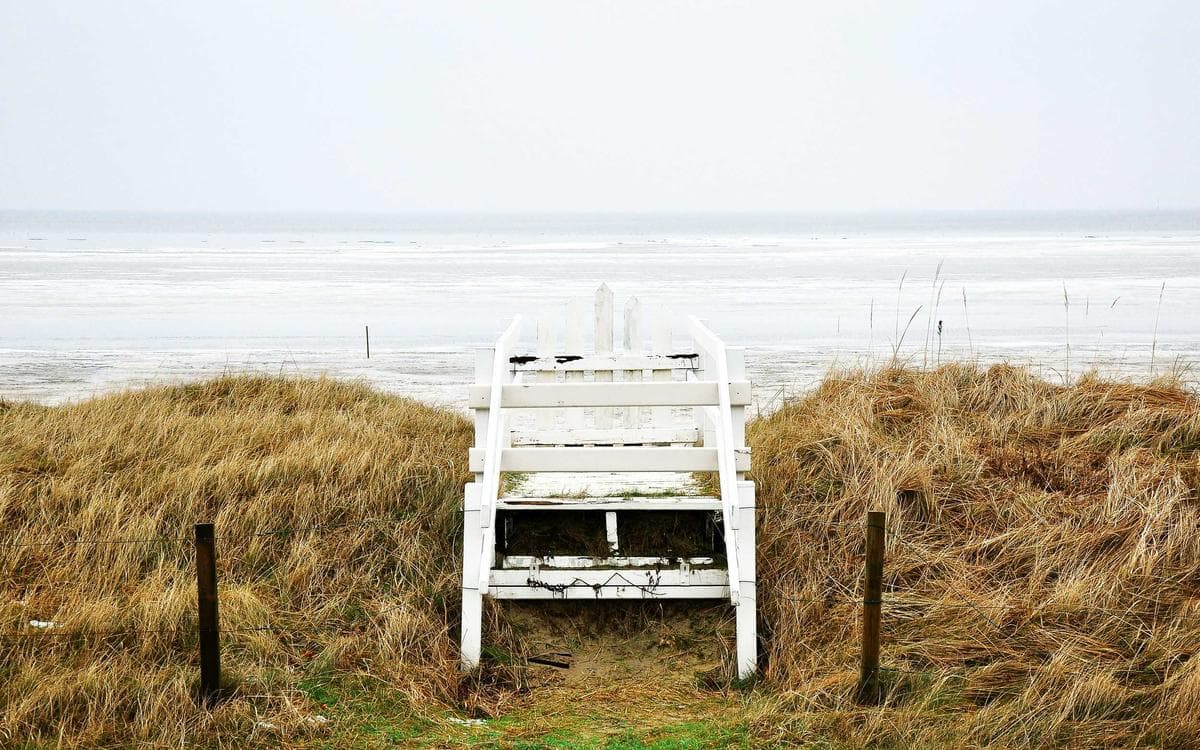 Minimal Blog Starter Vol.66