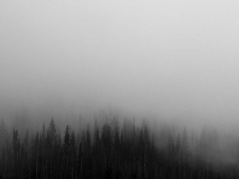 Essential Lightroom Presets Vol.188