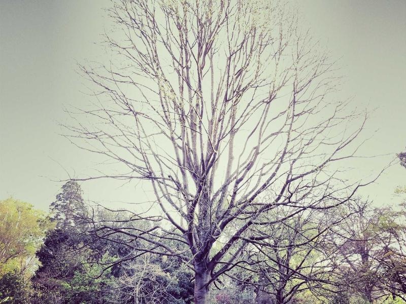 Retro Filter Set Vol.378