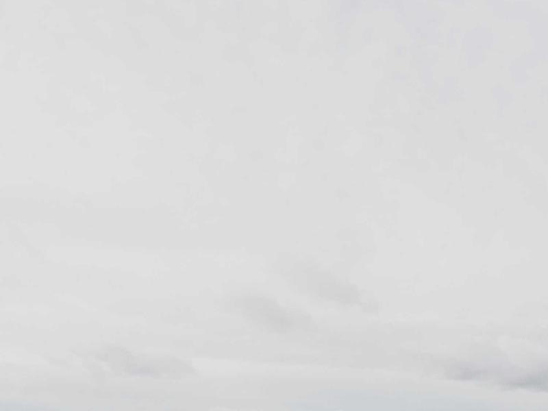 Bright Marketing Manual Vol.248