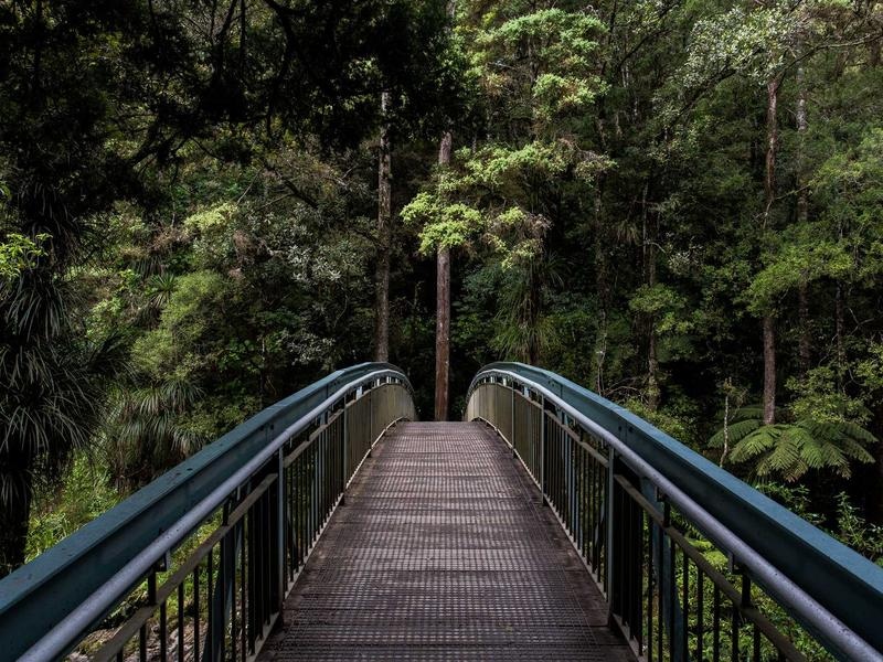 Essential Fitness Plan Vol.412