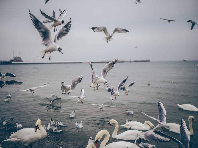 Clean Social Media Kit Vol.345
