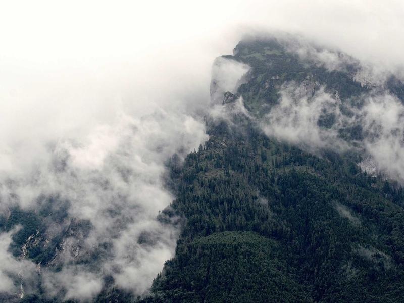 Minimal Brand Guide Vol.466