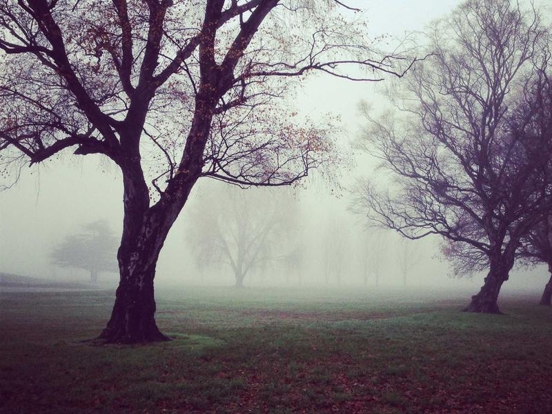Dark Social Media Kit Vol.471