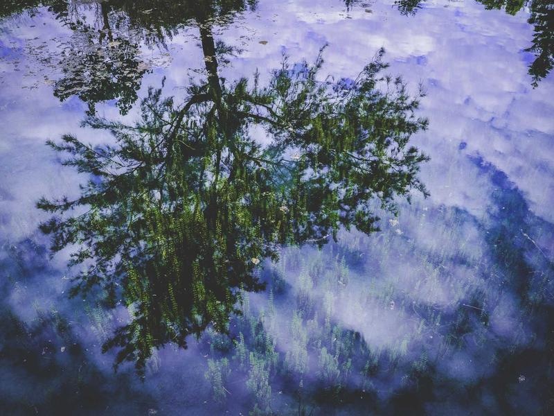 Premium Vector Bundle Vol.347