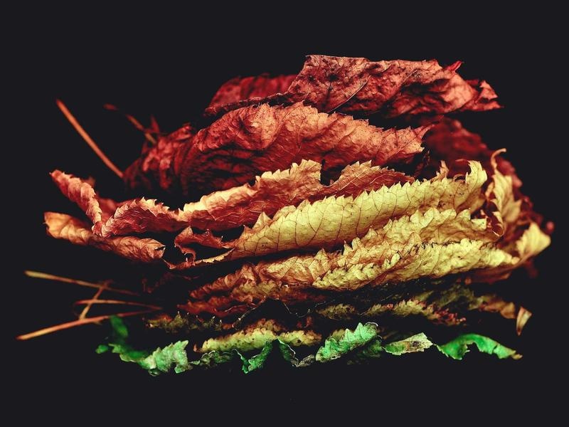 Vintage Background Kit Vol.436