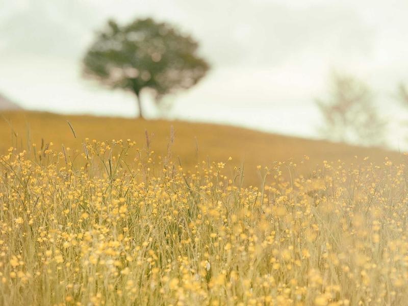 Creative Nature Gallery Vol.47