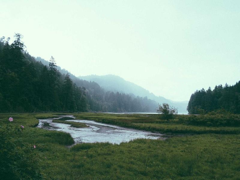 Dark Logo Reveal Vol.135