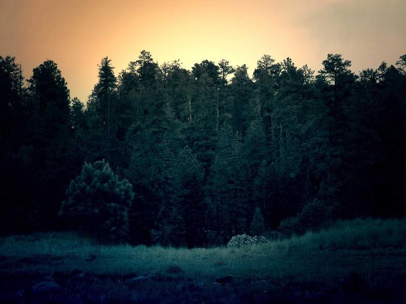 Pro Slideshow Kit Vol.286