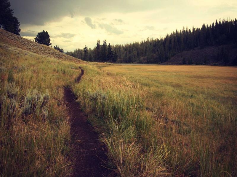 Minimal Slideshow Kit Vol.466