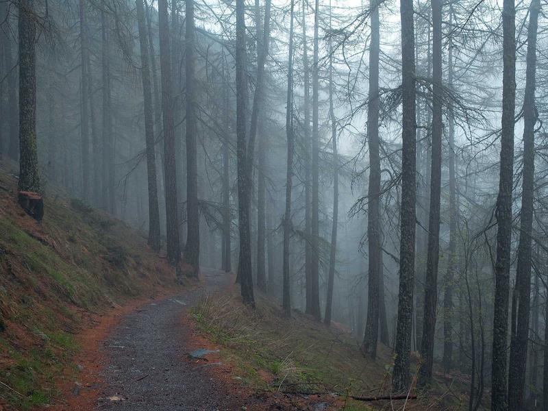 Modern Portfolio Theme Vol.177