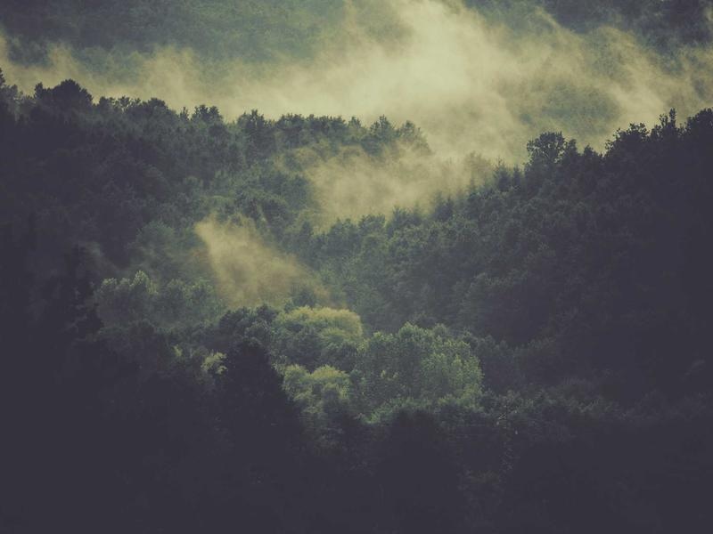 Clean Landing Page Kit Vol.217