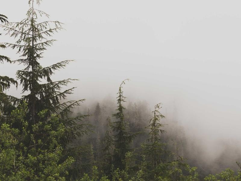 Pro SaaS Template Vol.430