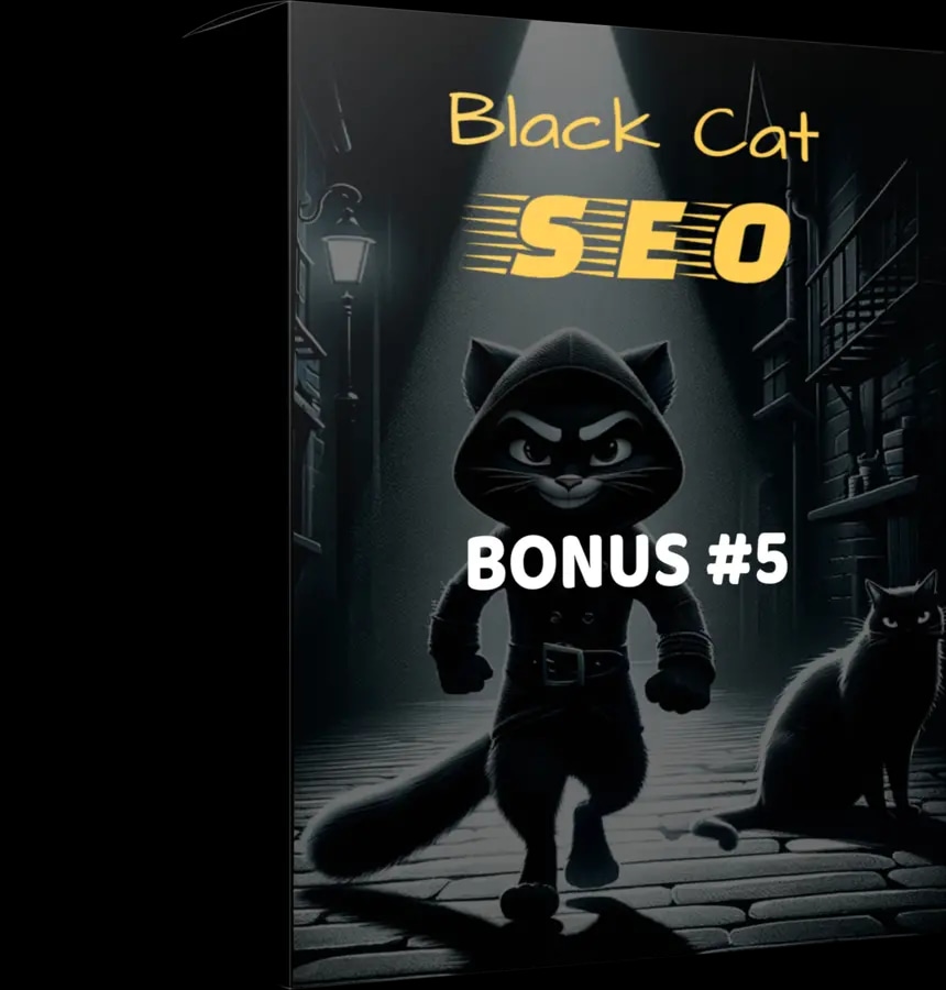 Black Cat SEO