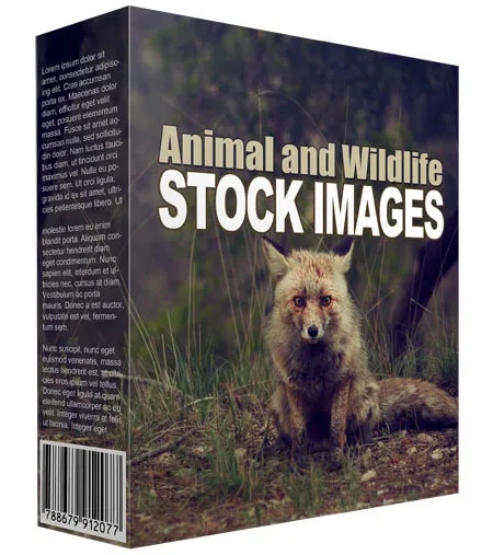 Animal and Wildlife Stock Images